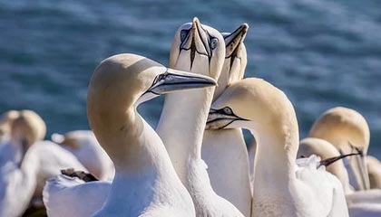 湖州最新贷款中介收费15%合法吗方法分析(最方便真实的湖州贷款中介收费合理吗方法)