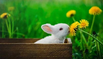 湖州最新公积金提取中介联系微信方法分析(最方便真实的湖州提取公积金的中介是如何操作的方法)